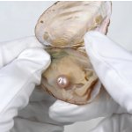 Pan Perla Mušle s pravou perlou 44 – Zboží Dáma