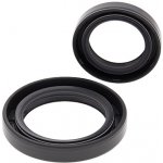 ALL BALLS těsnění klikové hřídele SUZUKI LT-250R 85-92, LT-500R 87-90 | Zboží Auto