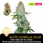 Drskunk Auto Gorilla Glue Feminizováno semena neobsahují THC 1 ks – Zboží Dáma