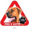 Autovýbava Grel nálepka na plech pozor pes v autě tosa inu