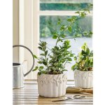 Kameninový květináč Cetara Rustic White 15 cm Garden Trading – Hledejceny.cz