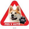 Autovýbava Grel nálepka na plech pozor pes v autě akita inu
