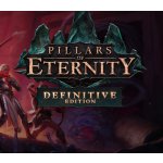 Pillars of Eternity (Definitive Edition) – Zboží Dáma