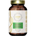 Puravia Labs Liposomální B-komplex 30 kapslí – Hledejceny.cz