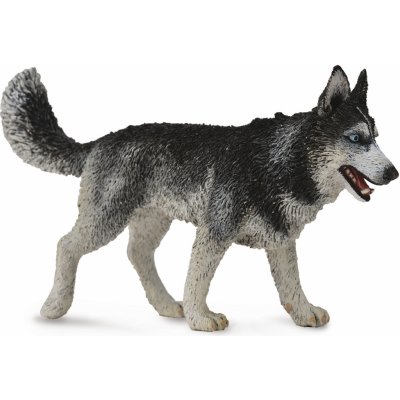 Collecta Sibiřský husky – Zboží Mobilmania