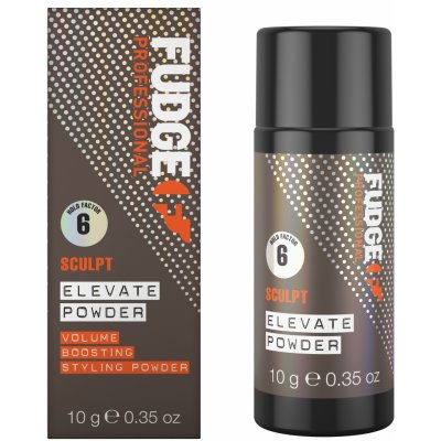 Fudge Elevate Styling Powder 10 g