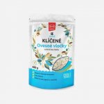 Semix Klíčené ovesné vločky bez lepku 300 g – Zboží Dáma