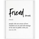 Plakát / Obraz Friend 50 x 70 cm Tiskové plátno – Hledejceny.cz