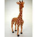 žirafa stojící 137 cm
