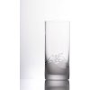 Sklenice Bohemia Crystal Sklenice na vodu dekor CAROLINE 6 x 300 ml