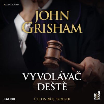 Vyvolávač deště - John Grisham