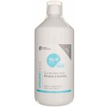 Invex Remedies Silor B Křemík s bórem 1000 ml – Hledejceny.cz