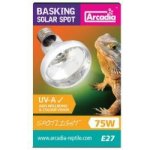 Arcadia Basking Solar Spot 75W – Zbozi.Blesk.cz