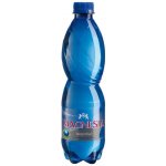 Magnesia neperlivá 0.5 l – Hledejceny.cz