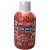 Doplněk stravy na detoxikaci Goji Juice Star antioxidant 500 ml