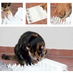Trixie Cat Activity Fun Board XXL desková hra 30 x 40 cm – Zboží Dáma