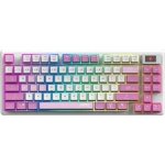MSI FORGE GK600 TKL Violet S11-43CSQ01-HH9 – Zboží Živě