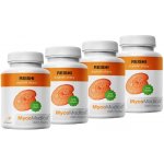 MycoMedica Reishi 4 x 90 kapslí – Hledejceny.cz