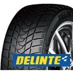 Delinte WD1 195/55 R15 85H – Sleviste.cz