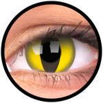 MaxVue Vision ColourVue Crazy čočky Cat Eye 2 ks tříměsíční nedioptrické – Hledejceny.cz