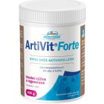 Vitar Veterinae ArtiVit Forte prášek 600 g – Hledejceny.cz