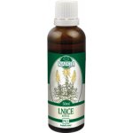Lnice tinktura z pupenů pomáhá trávení 50 ml – Hledejceny.cz
