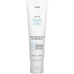Etude House Soon Jung 2x Barrier Intensive Cream 60 ml – Sleviste.cz
