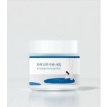 Round Lab Birch Juice Moisturizing Cream s březovou šťávou 80 ml – Zboží Dáma