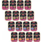 Animonda Vom Feinsten mini adult Mix chutí 32 x 100 g – Zboží Mobilmania
