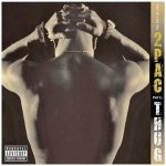 Two Pac - Best Of 2PAC - Part 1 - Thug CD – Hledejceny.cz