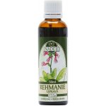 Naděje Rehmanie lepkavá výluh z bylin 50 ml – Hledejceny.cz