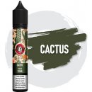 ZAP! Juice Aisu SALT Cactus Ice 10 ml 10 mg