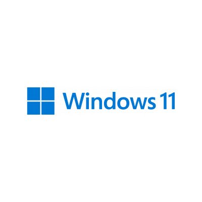 Windows 11 Pro 64bit GGK CZ DVD 4YR-00313 – Zboží Živě