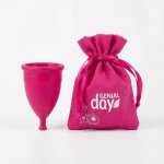 Genial Day Menstrual Cup Large L – Zbozi.Blesk.cz