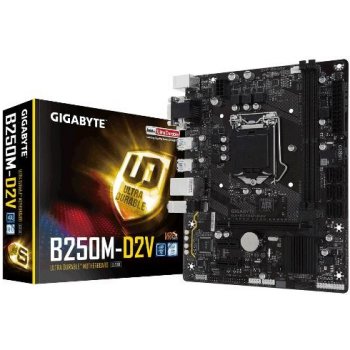 Gigabyte B250M-D2V