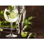 Degustace ginu párování s tonikem – Zboží Dáma