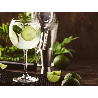Degustace ginu párování s tonikem – Zboží Dáma