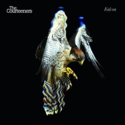 The Courteeners - Falcon CD