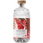 Abstrakt Watermelon x Strawberry 38% 0,7 l (holá láhev) – Hledejceny.cz