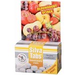 SILVA TABS na ovocné stromy a keře 250g – Hledejceny.cz