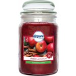 Airpure Apple Cinnamon 510 g – Zboží Dáma