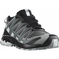 Salomon Xa Pro 3D V8 GTX Magnet/Stormy Weather/White