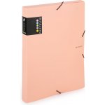 Karton PP Krabice PP s gumou A4 PASTELINI meruňková – Hledejceny.cz