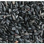 Apetit slunečnice černá 1 kg – Zboží Dáma Apetit slunečnice černá 1 kg – Zboží Dáma