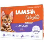 Iams Delights kitten kuře v omáčce 12 x 85 g – Sleviste.cz