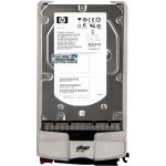 HP 450 GB 3,5" SAS, BF450DAJZR – Hledejceny.cz