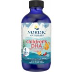Nordic Naturals Children's DHA Omega 3 pro děti jahoda 530 mg 119 ml – Hledejceny.cz