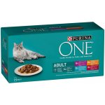 Purina ONE Adult s jehněčím mořskými rybami kuřetem hovězím ve šťávě 40 x 85 g – Zbozi.Blesk.cz