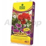 Agro CS Primaflora Substrát pro muškáty (pelargonie) 40 l – Hledejceny.cz