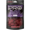 Návnada a nástraha Starbaits Boilies Probiotic Blackberry 200g 20mm